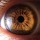 Iridiología: Análisis de salud a través del iris del ojo